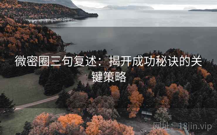 微密圈三句复述：揭开成功秘诀的关键策略